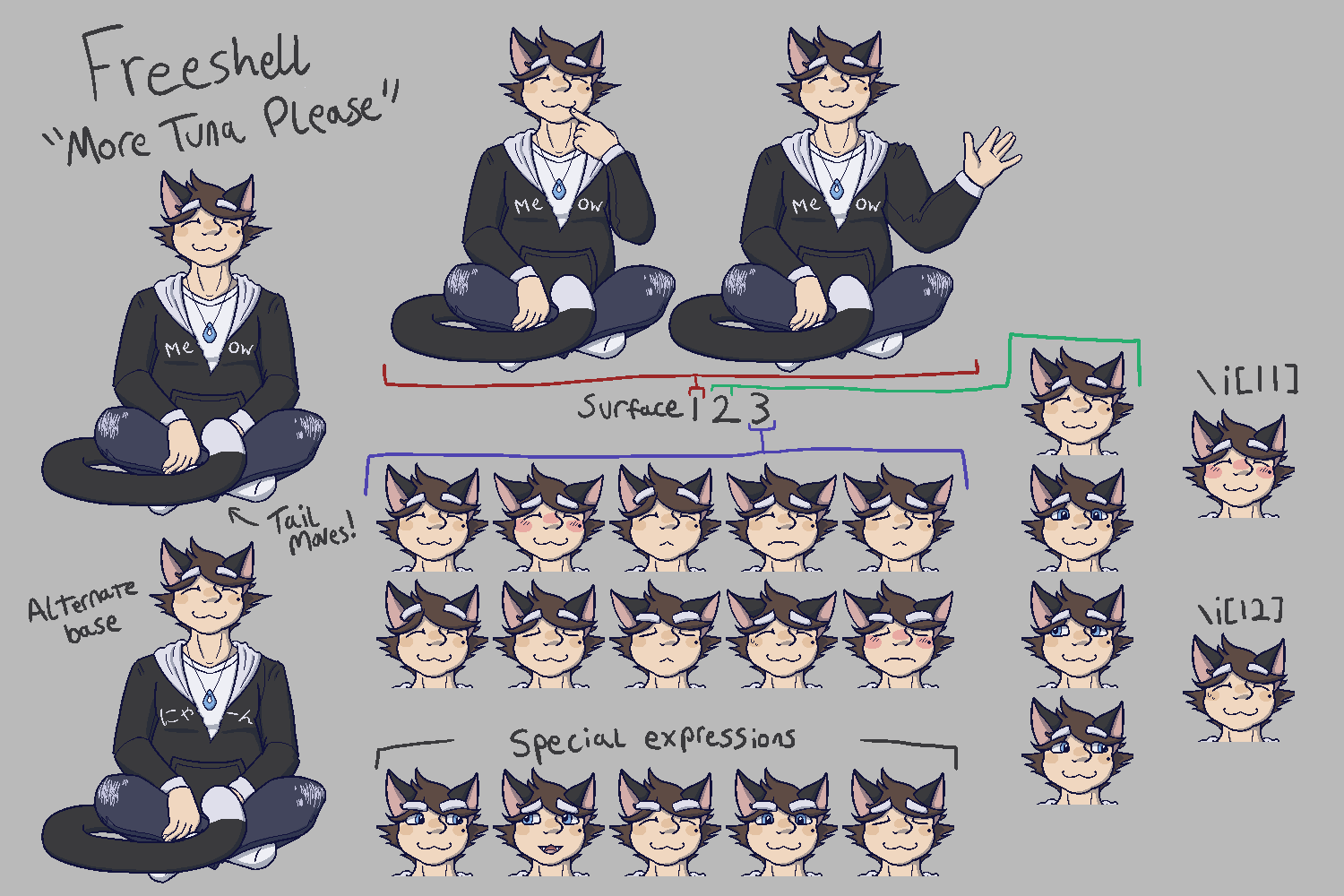 A chart showing the various pieces of the shell and how they can be combined